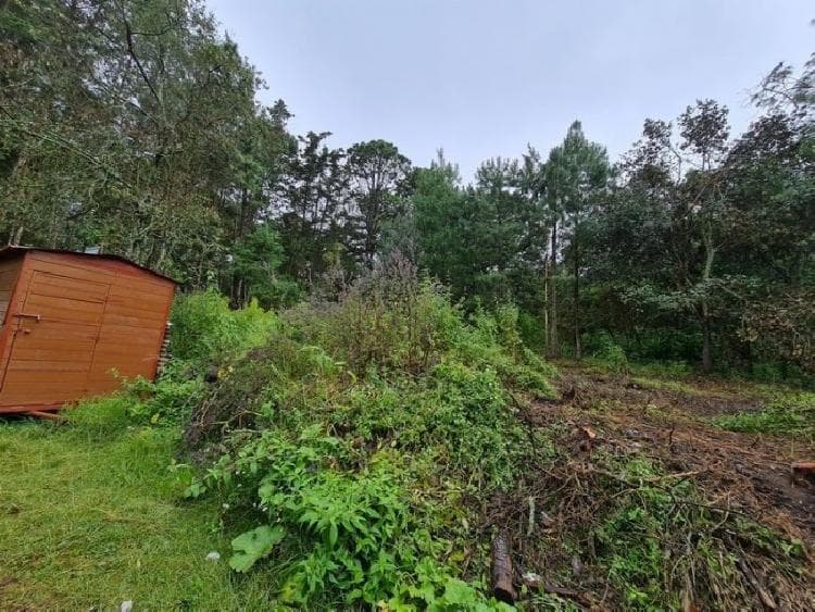 Terreno en Venta Colonia El Paraíso Sacatepéquez - foto 3