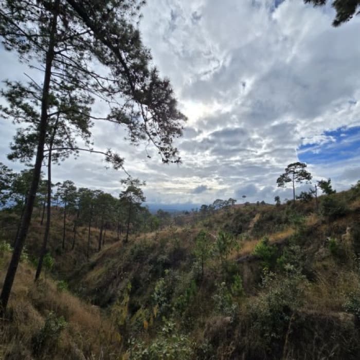 Terreno en Venta San Pedro Sacatepéquez, Guatemala - foto 2