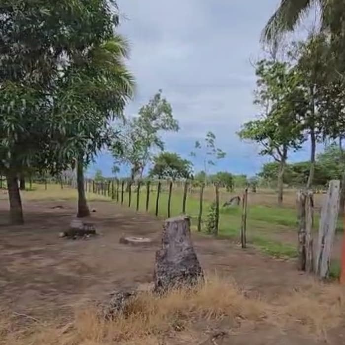 Terreno en Venta La Gomera, Escuintla, Guatemala OCRET - foto 4