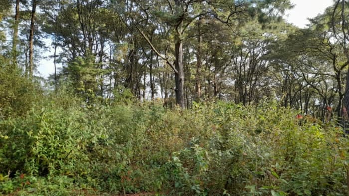 Terreno en Venta San Lucas Sacatepéquez, Guatemala - foto 3