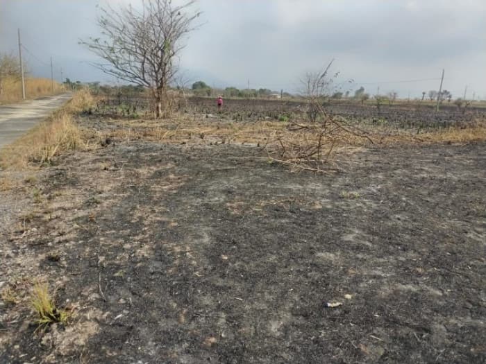 Terreno en Venta en Taxisco Santa Rosa KM 117 Lagunas - foto 2