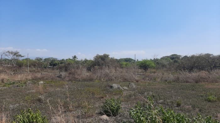 Terreno en Venta en Torre Molinos, Escuintla - foto 3