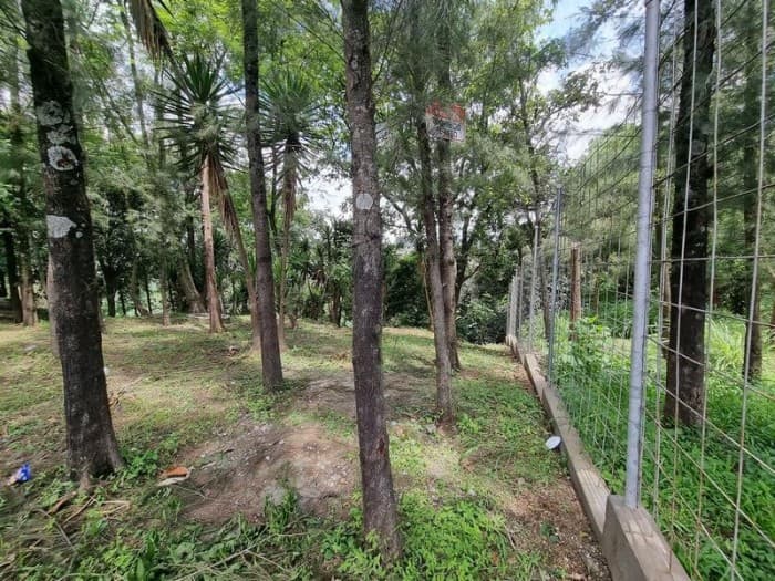 Terreno en Renta para Vivero o Restaurante tipo Pérgola - foto 2