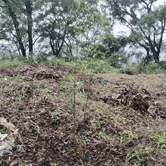 Terreno en Venta Granja Buenos Aires, Fraijanes - foto 2