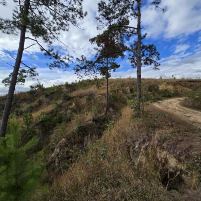 Terreno en Venta San Pedro Sacatepéquez, Guatemala - foto 3