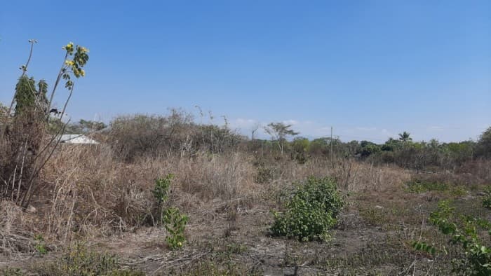 Terreno en Venta en Torre Molinos, Escuintla - foto 4