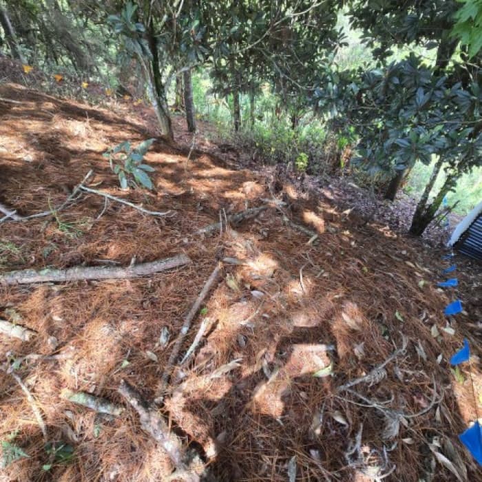 Lote en Venta Carretera a El Salvador Res. San Antonio - foto 4