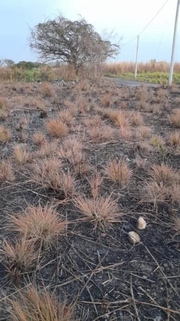 Terreno en Venta en Quintas La Ponderosa Masagua  - foto 2