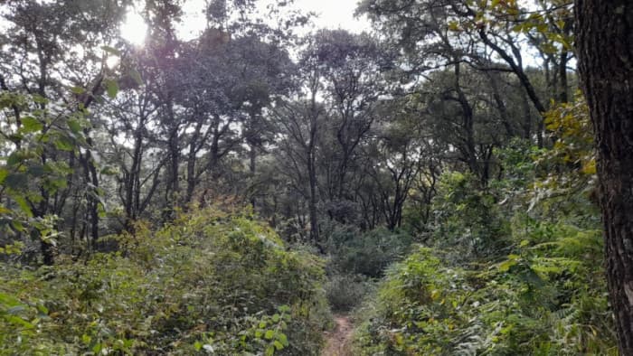 Terreno en Venta San Lucas Sacatepéquez, Guatemala - foto 4