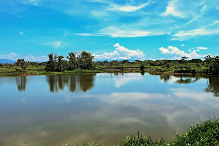Terreno en Venta en Lagunas de Monterrico II Escuintla  - foto 3