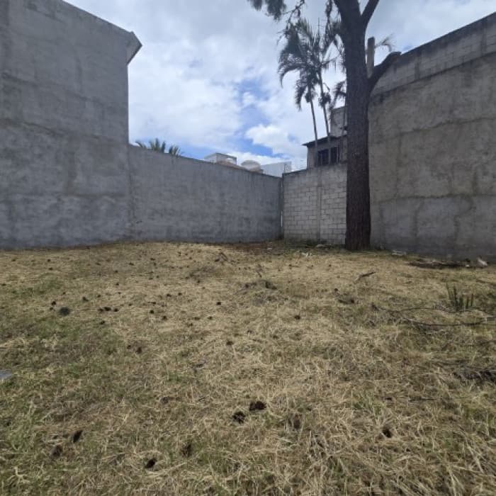 Terreno en Venta Pinares de San Cristóbal, Zona 8 Mixco - foto 11
