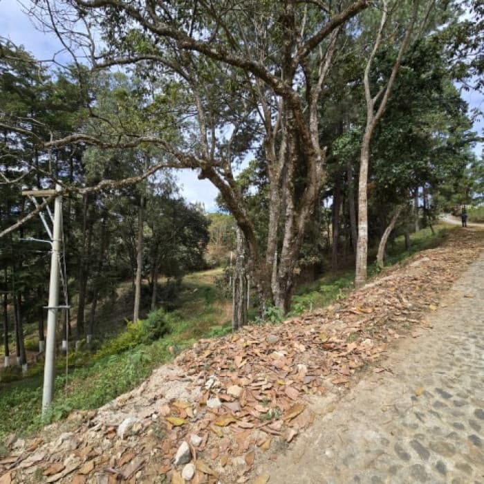 Terreno en Venta Los Horizontes Santo Domingo Xenacoj - foto 3