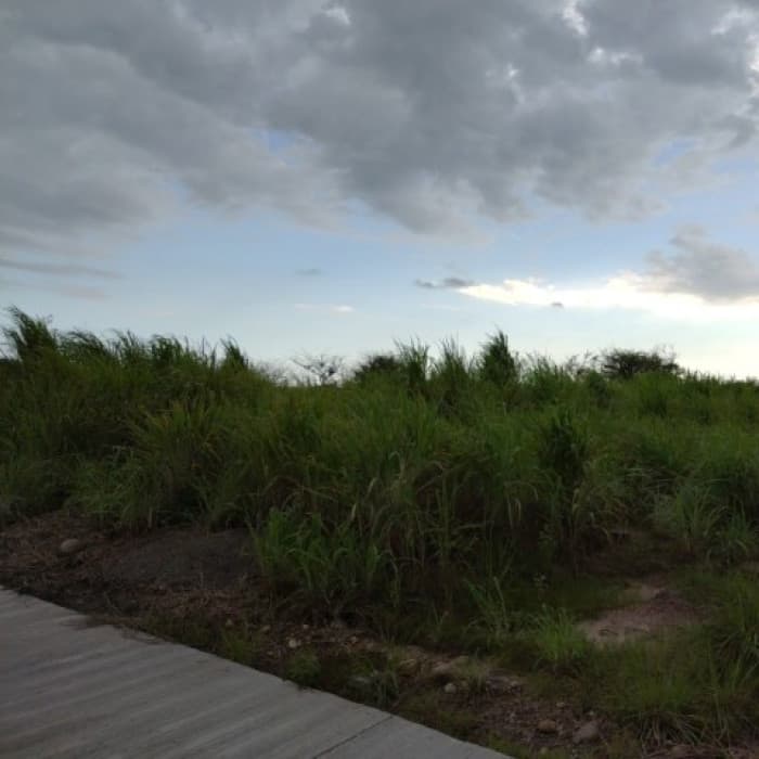 Terreno en Venta Santa Rosa, Lagunas de Monterrico II - foto 3