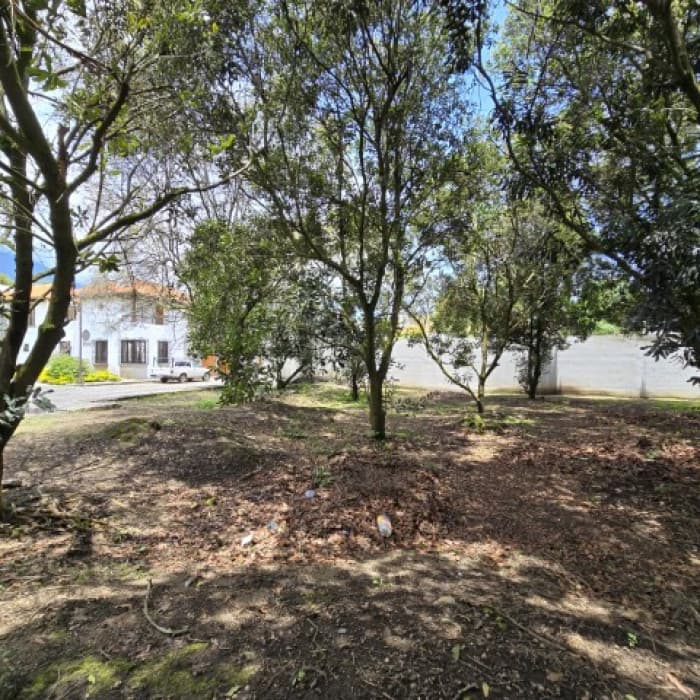 Terreno en Venta Hacienda Del Comendador, Sacatepéquez - foto 2