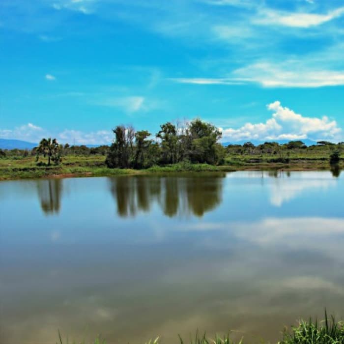 Lote en Venta 13 x 35 metros, Lagunas de Monterrico II - foto 4
