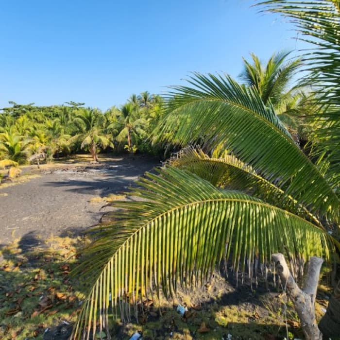 Cesión de Terreno Vacacional en OCRET Puerto San José - foto 4