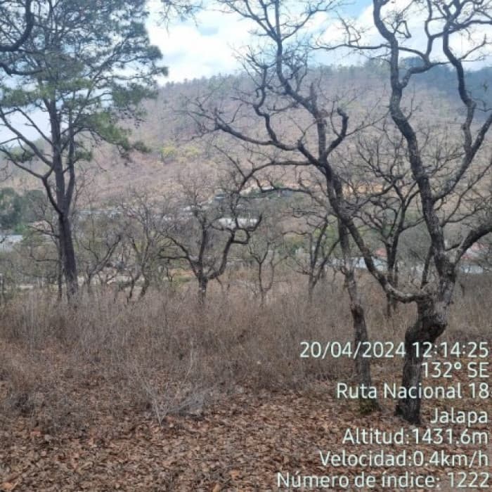 Terreno Comercial en Venta, Jalapa, Cabecera - foto 2