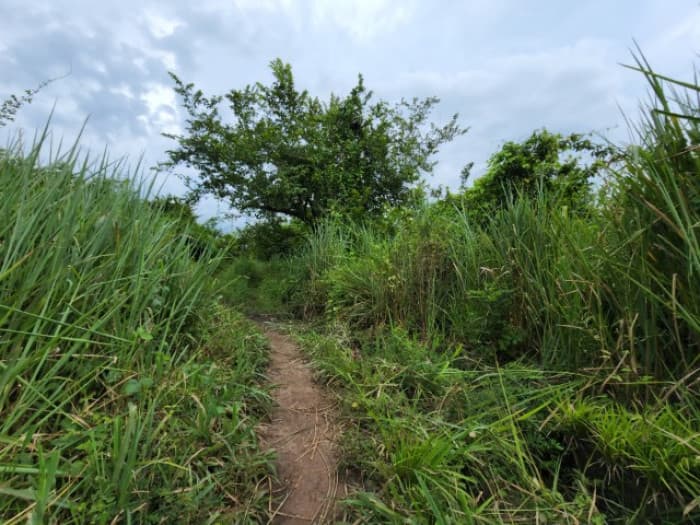 Terreno en Venta Quintas Malibú, Escuintla, Guatemala - foto 3
