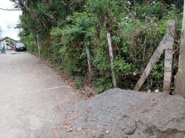 Terreno Comercial en Renta en El Progreso, Guatemala - foto 4