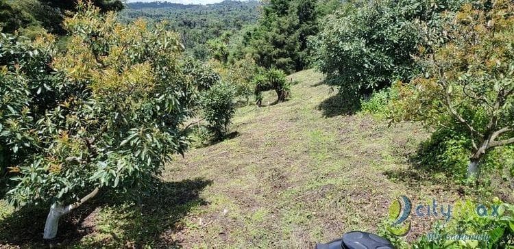 Terreno en Venta de 2.6 manzanas en San Vicente Pacaya - foto 3