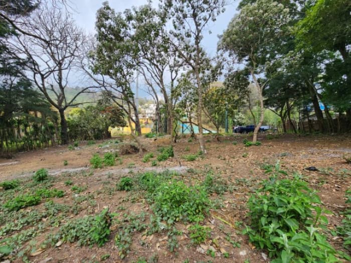 Terreno Comercial en Renta Ruta Interamericana Sn Lucas - foto 4