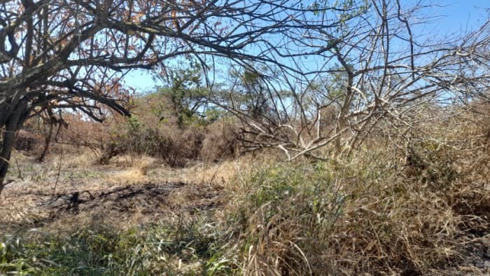 Terreno de 14 x 50 metros en Venta Quintas Malibu - foto 2