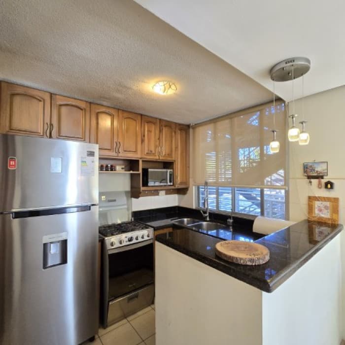 Apartamento en Venta Altos de La Sabana Zona 17 Ciudad - foto 4