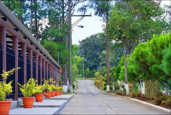 Granja en Venta Praderas de Bambú KM 30.3 Sacatepéquez  - foto 2