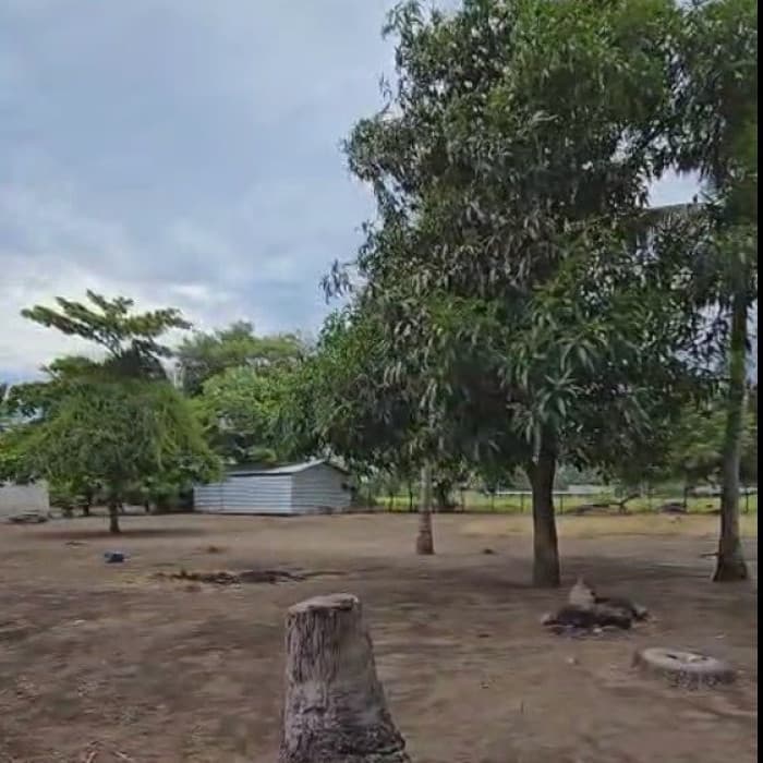 Terreno en Venta La Gomera, Escuintla, Guatemala OCRET - foto 3
