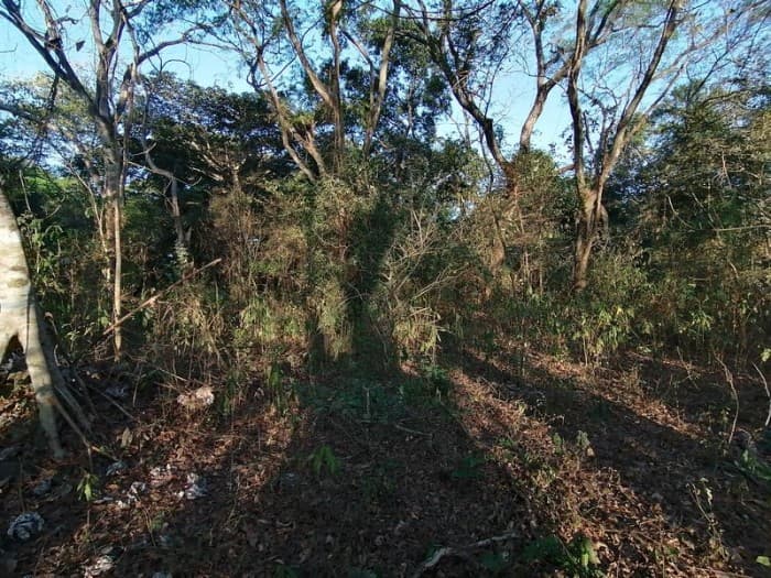 Terreno en Venta Quintas La Ponderosa - foto 2