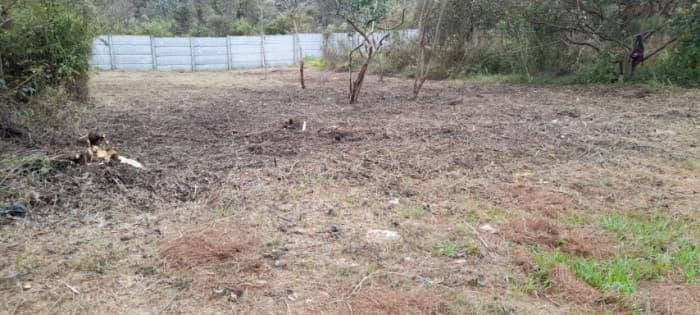 Terreno en Venta Granjas Praderas del Bambú - foto 2
