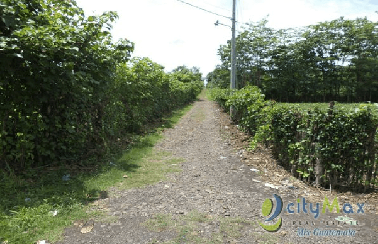 Vendo Terreno con siembra en Cuyotenango, Suchitepequez - foto 4