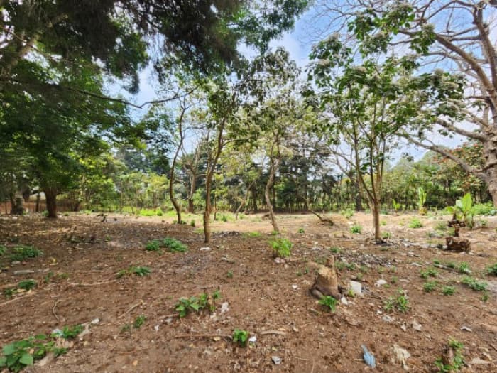 Terreno Comercial en Renta Ruta Interamericana Sn Lucas - foto 3