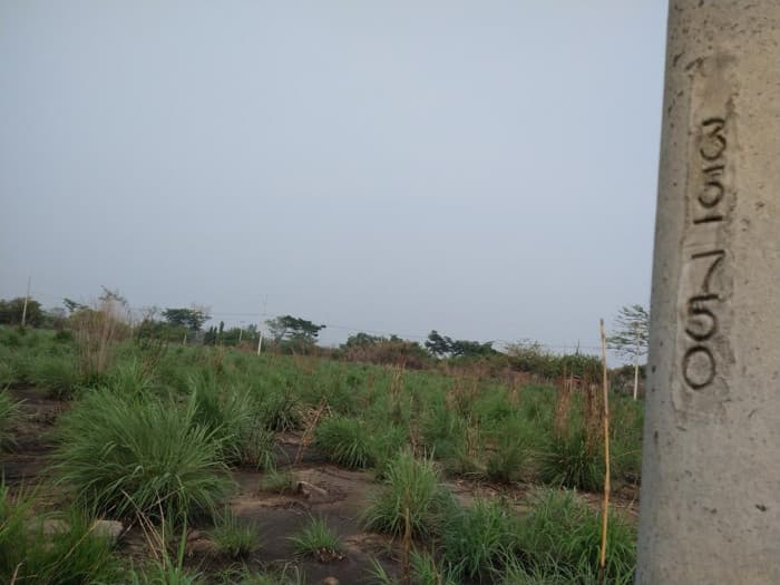 Terreno en Venta Quintas Las Ponderosa, Escuintla - foto 3