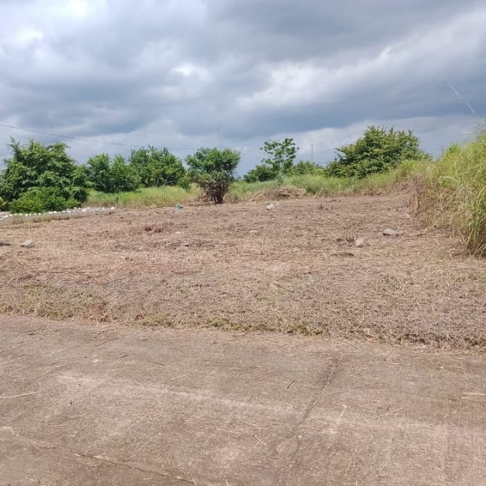 Terreno en Venta Quintas La Ponderosa Escuintla - foto 2