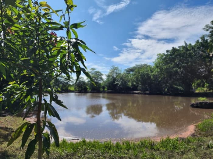 Terreno en Venta Lagunas de Torremolinos Escuintla - foto 4