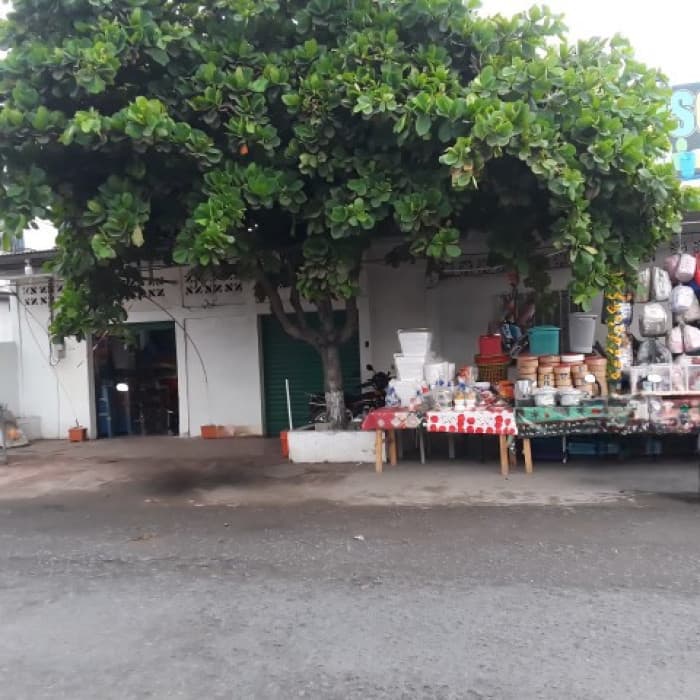 Terreno Comercial en Renta San Marcos, Urbano La Blanca - foto 2