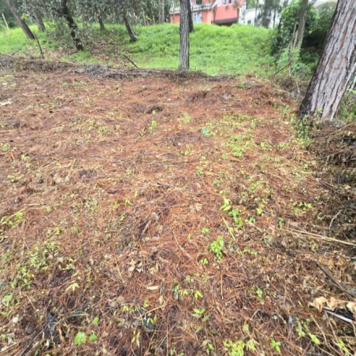 Terreno en Venta Hacienda Manzanales Santa María Cauque - foto 4