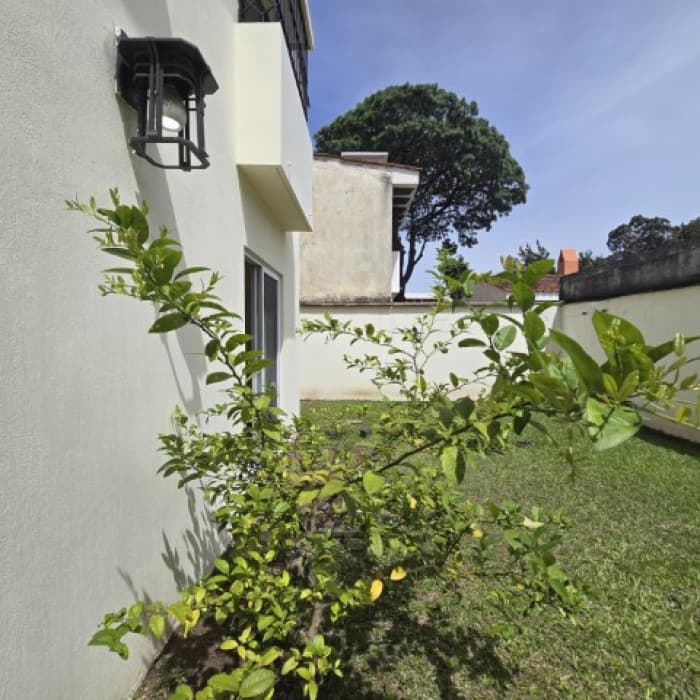 Casa en Venta Zona 12 Colonia Residencial El Bosque - foto 4