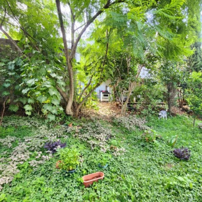 Terreno con Locales y Apto. en Venta en San Cristóbal - foto 4