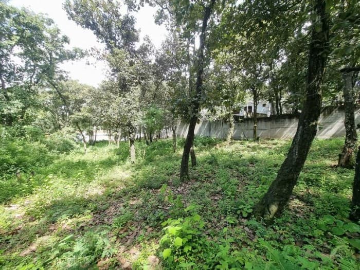 Terreno de 22,755 Vrs² en Venta en Las Hojarascas Mixco - foto 4