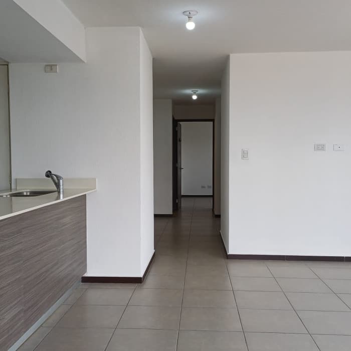 Apartamento en Renta en Colonia Mariscal - foto 4