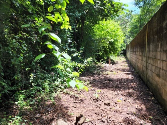 Terreno en Venta Cañadas de Torre Molinos Escuintla - foto 2