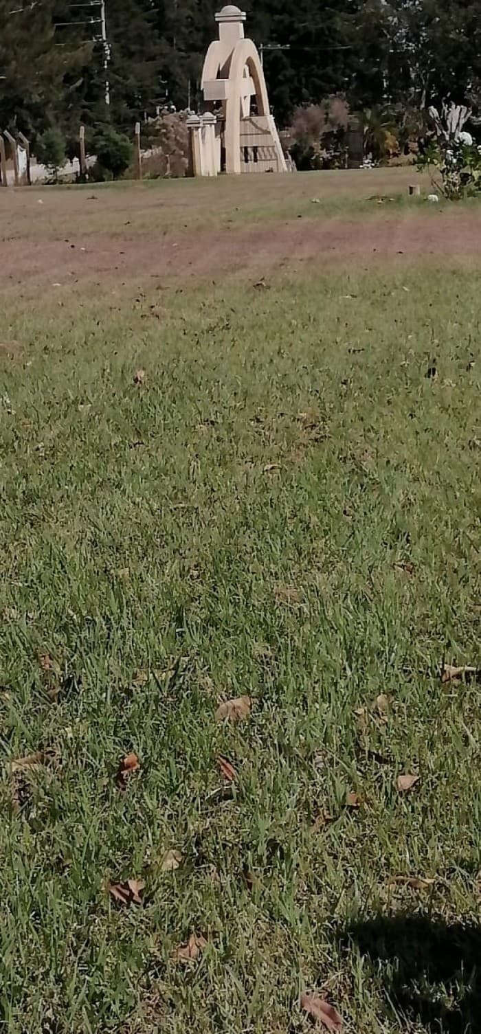 Terreno en Venta Cementerio Jardín Los Olivos, CES - foto 3