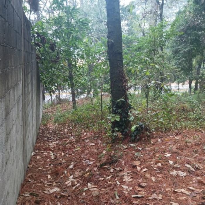 Terreno Comercial en Renta en Carretera Interamericana - foto 2