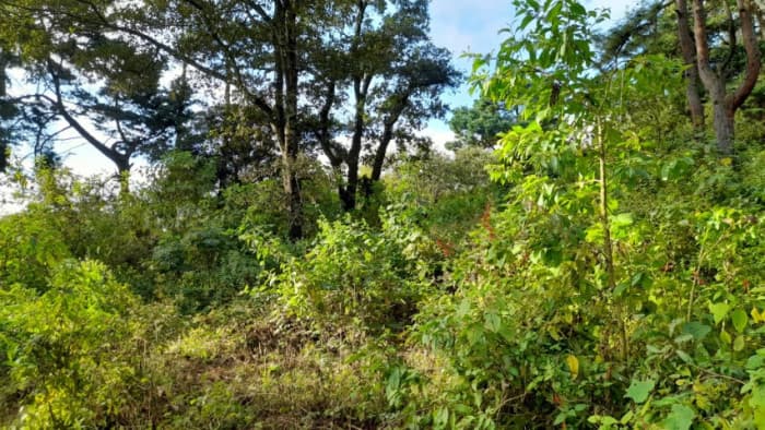 Terreno en Venta San Lucas Sacatepéquez, Guatemala - foto 2