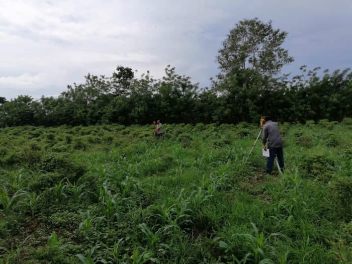 Terreno Agrícola en Venta Puerto San José Parcelamiento - foto 3