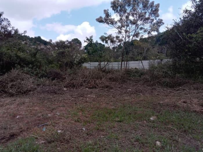 Terreno en Venta Granjas Praderas del Bambú - foto 3