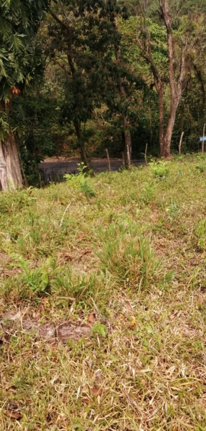 Terreno en Venta Los Amates Izabal, Guatemala - foto 4