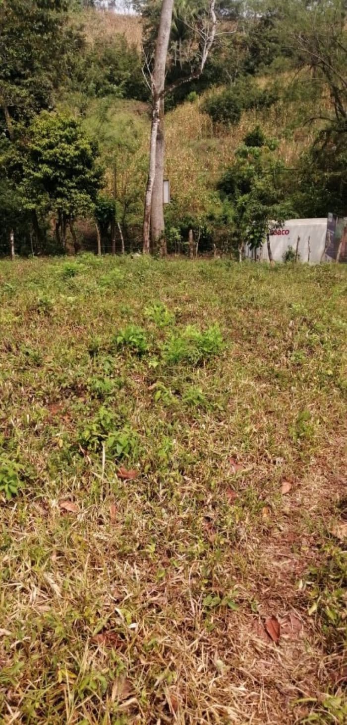 Terreno en Venta Los Amates Izabal, Guatemala - foto 2